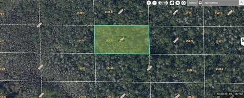 Dill Road Orlando FL 32820