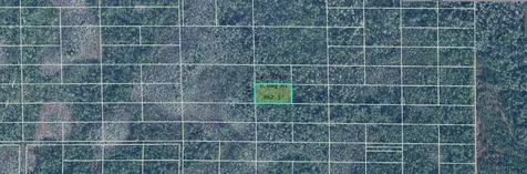 Dill Road Orlando FL 32820