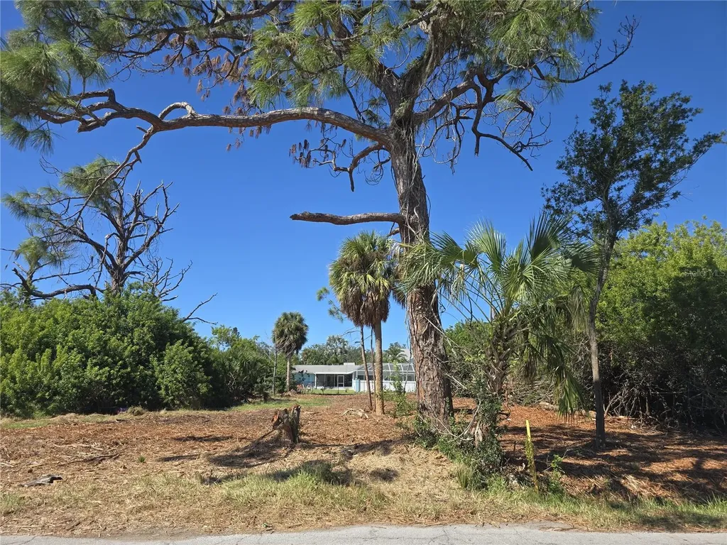 6313 Oelsner Street New Port Richey FL 34652