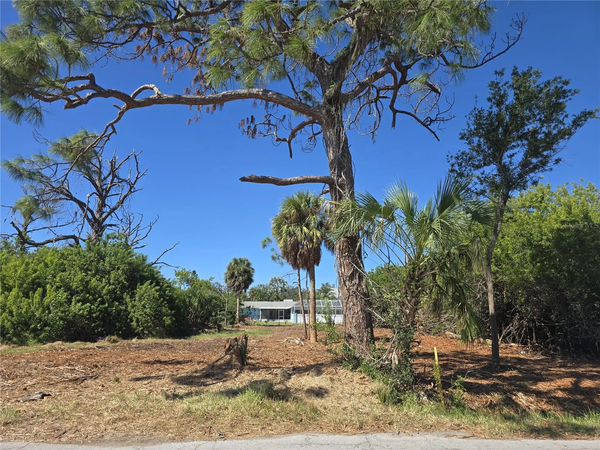 6313 Oelsner Street New Port Richey FL 34652