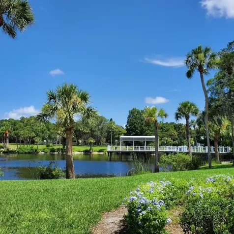 6313 Oelsner Street New Port Richey FL 34652