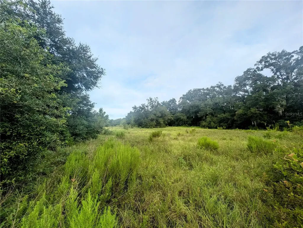 10316 SW 170th Street Archer FL 32618