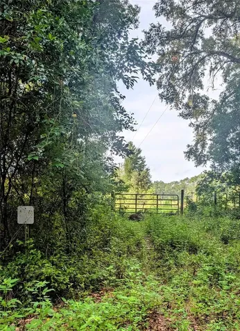 10316 SW 170th Street Archer FL 32618
