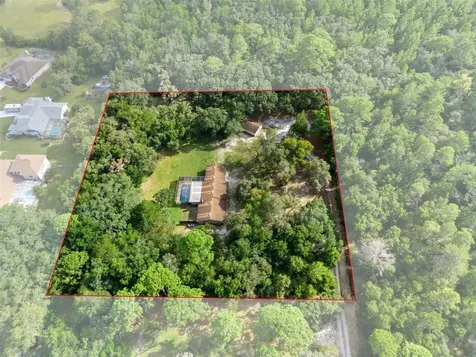 1060 Abbott Avenue Spring Hill FL 34609