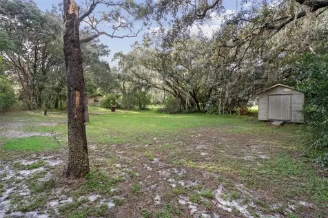 1060 Abbott Avenue Spring Hill FL 34609
