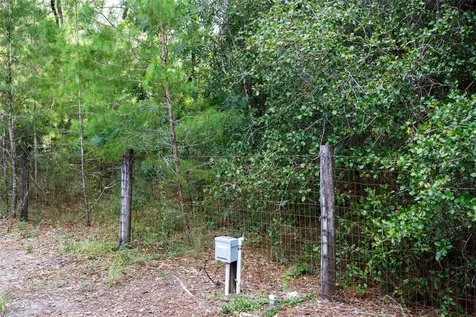 1060 Abbott Avenue Spring Hill FL 34609