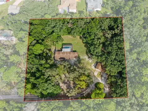 1060 Abbott Avenue Spring Hill FL 34609