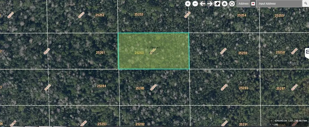 Dill Road Orlando FL 32820