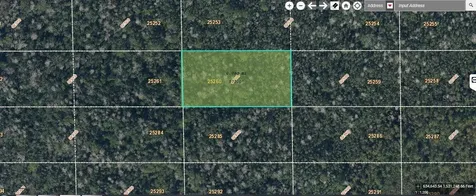 Dill Road Orlando FL 32820