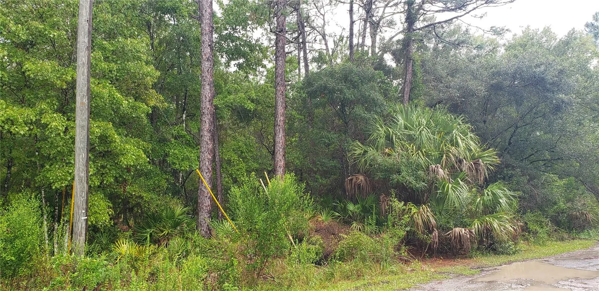 1179 N Tessa Terrace Crystal River FL 34429