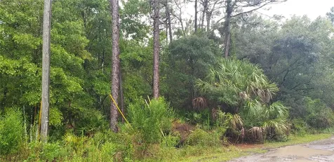 1179 N Tessa Terrace Crystal River FL 34429