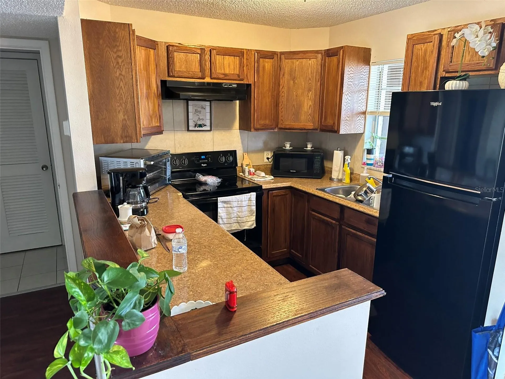 5154 Turquoise Lane New Port Richey FL 34652