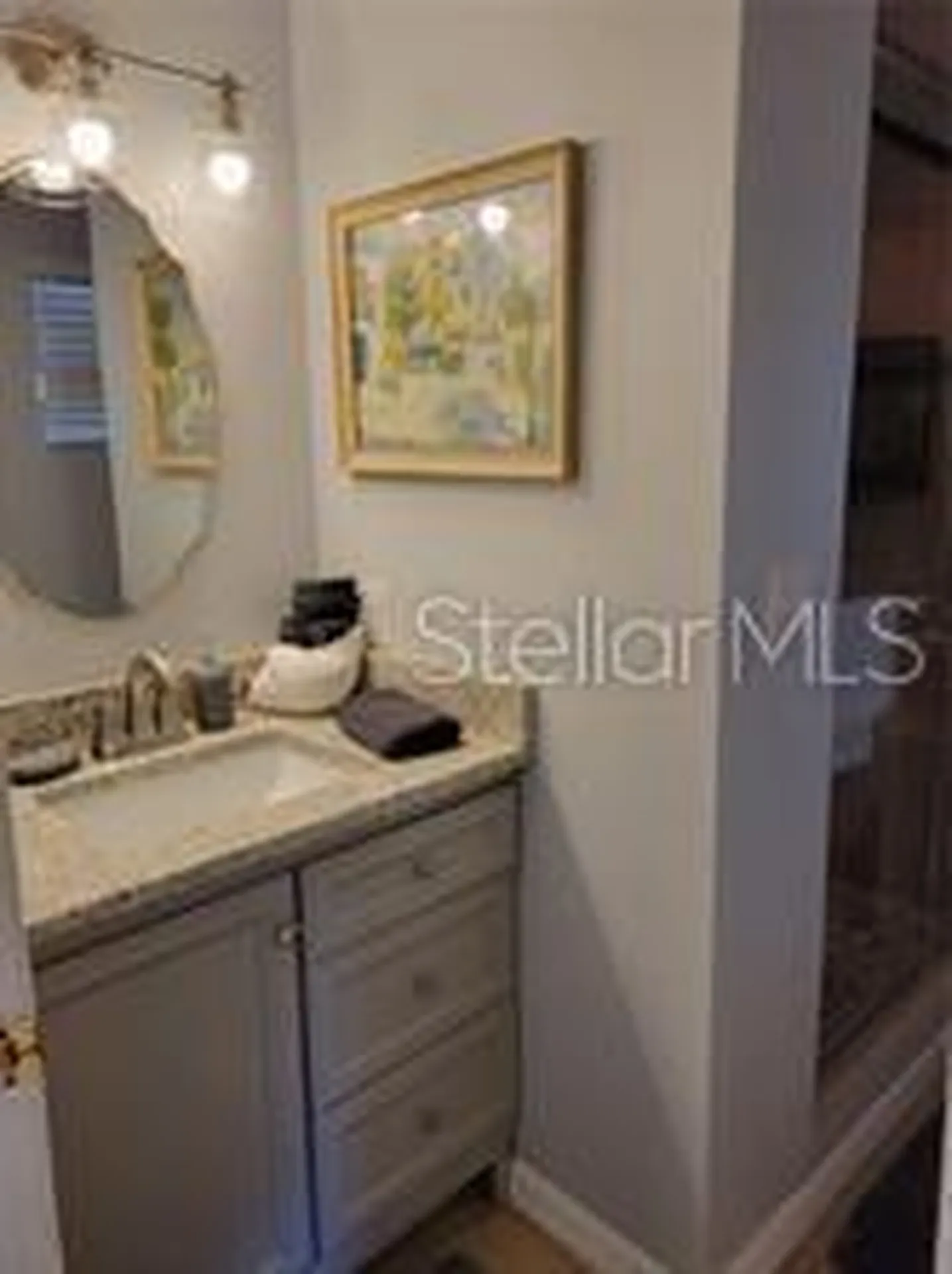 1370 Greenway Drive Mount Dora FL 32757
