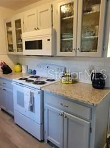 1370 Greenway Drive Mount Dora FL 32757
