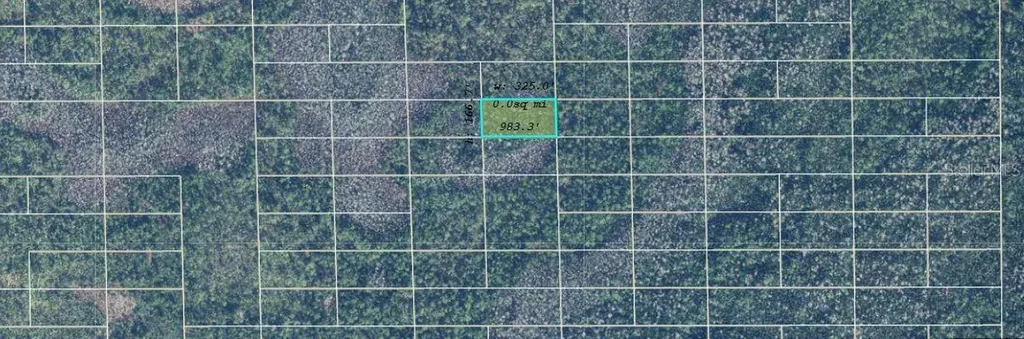 Dill Road Orlando FL 32820