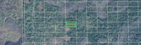 Dill Road Orlando FL 32820