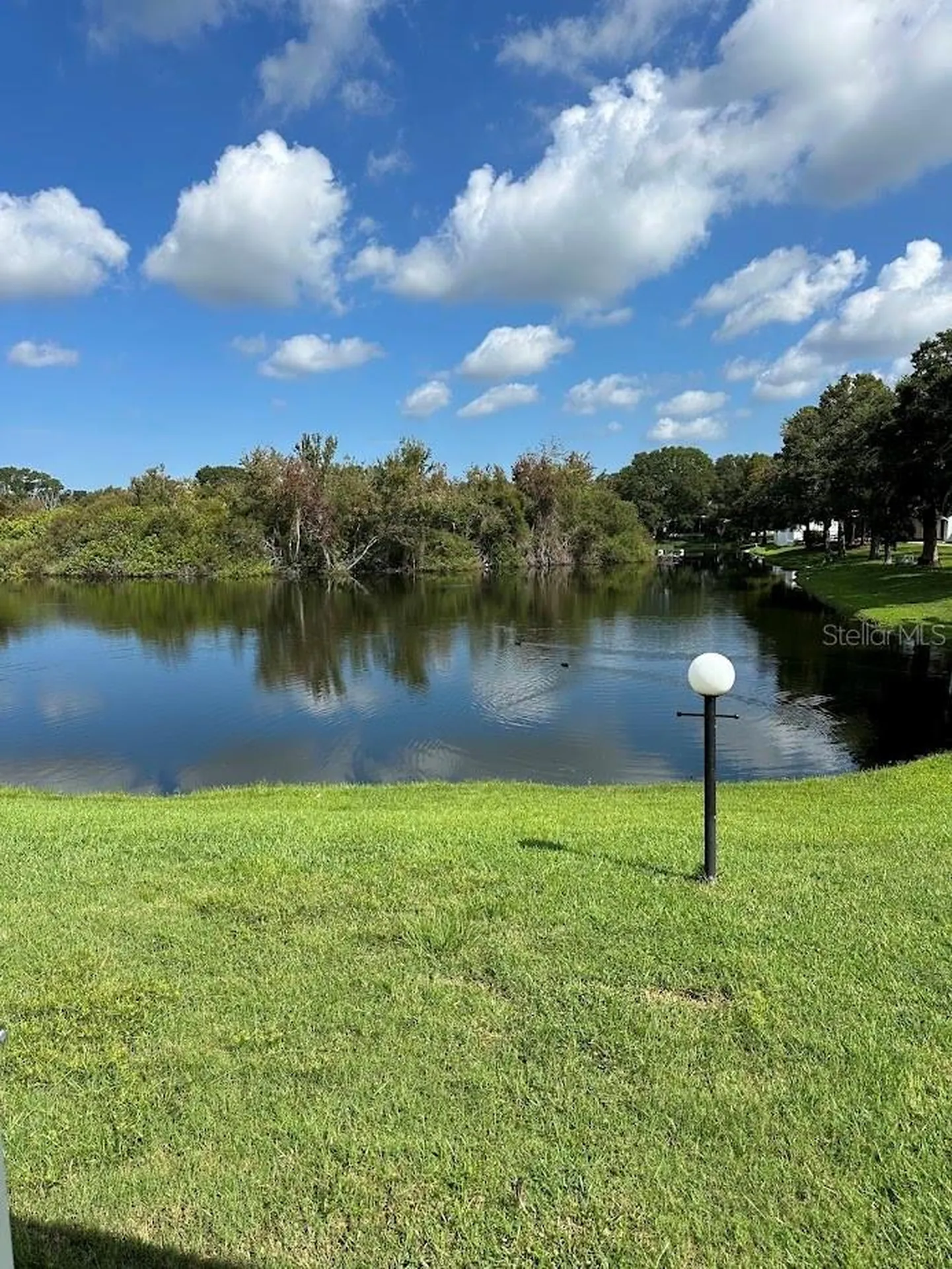 1001 Starkey Road Largo FL 33771