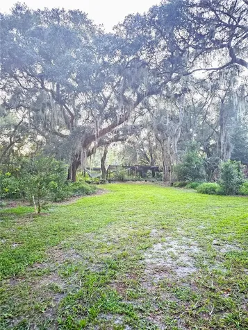 1080 Buckles Road Pierson FL 32180