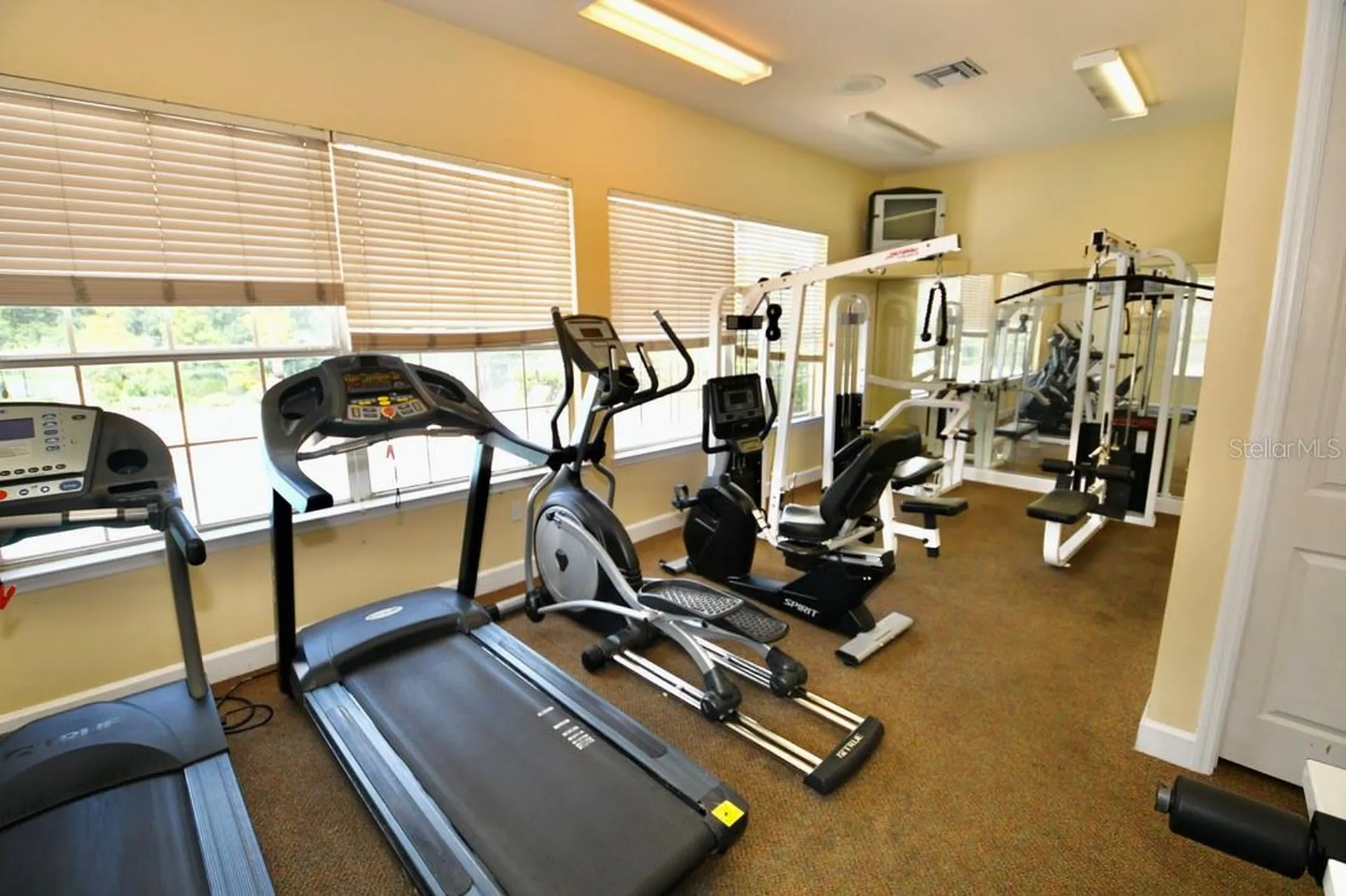 36121 Lake Chase Boulevard Zephyrhills FL 33541