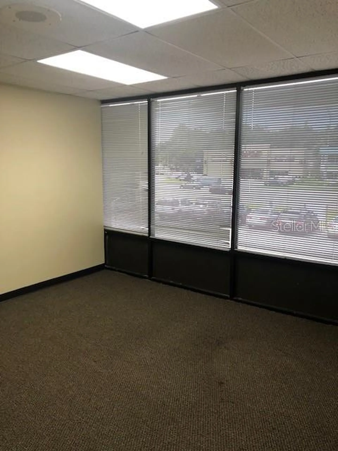 7211 N Dale Mabry Highway N Tampa FL 33614