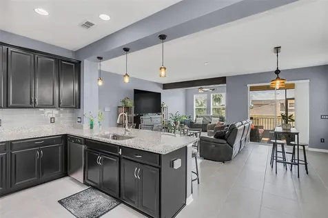 17430 Promenade Drive Clermont FL 34711