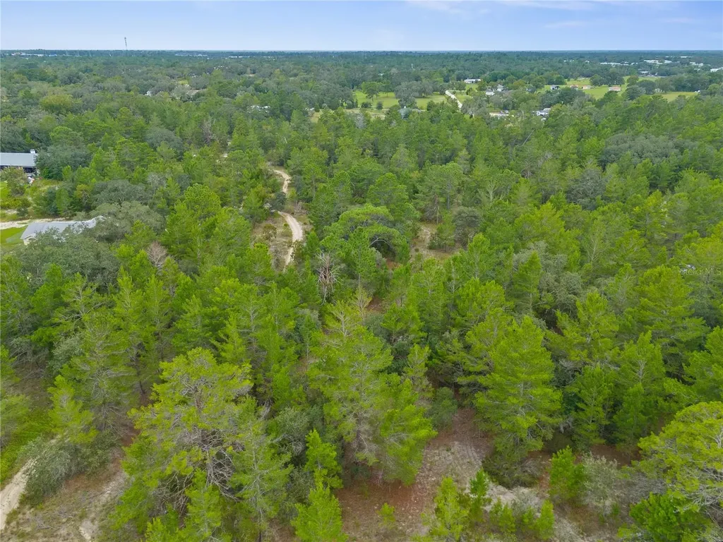 Madison Street Brooksville FL 34613