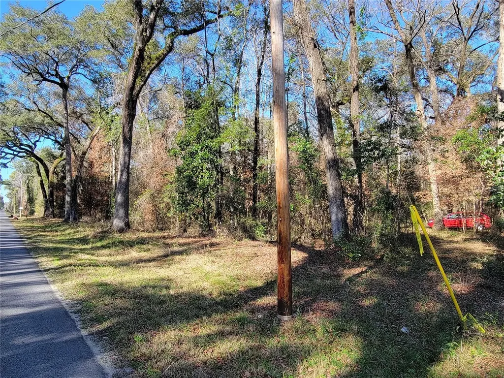 SW Newark Drive Fort White FL 32038