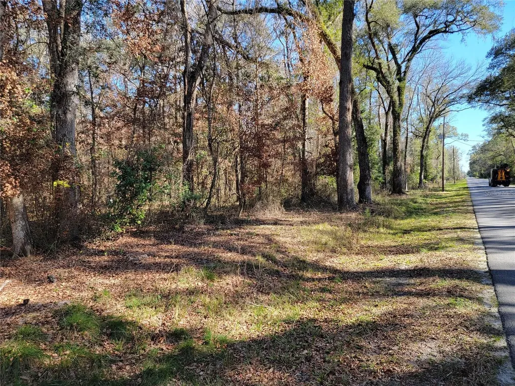 SW Newark Drive Fort White FL 32038