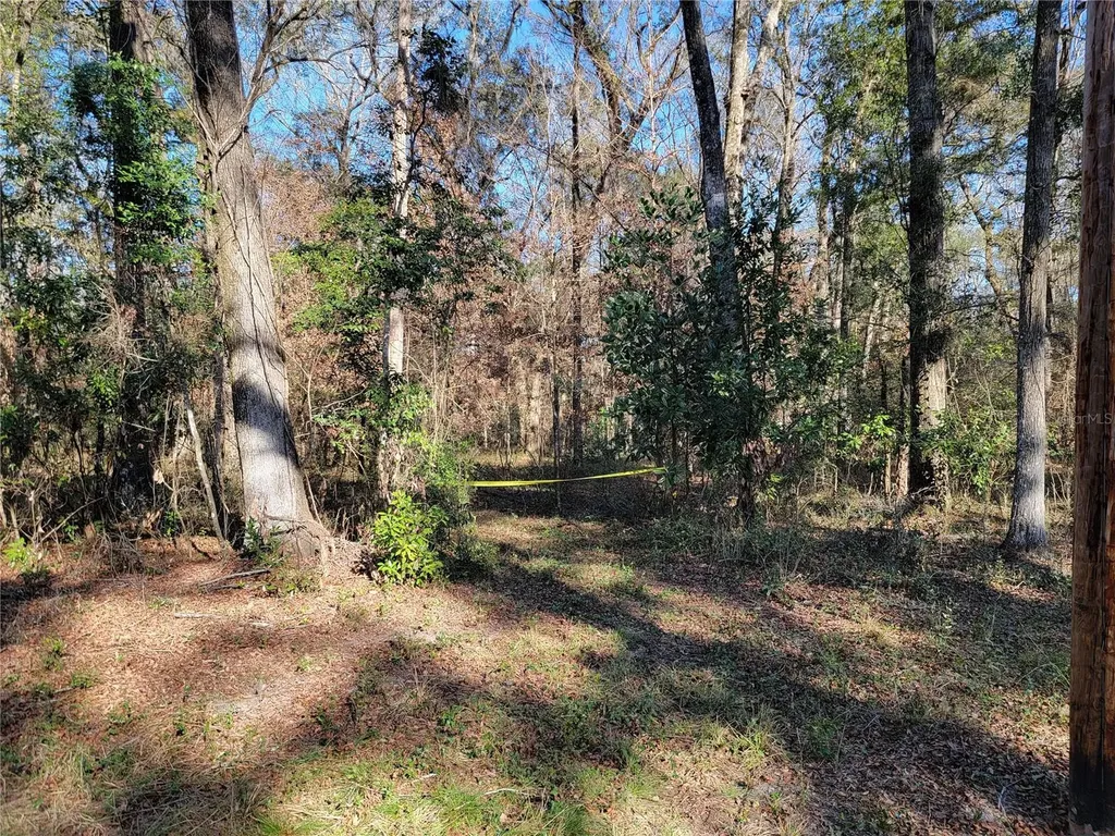 SW Newark Drive Fort White FL 32038