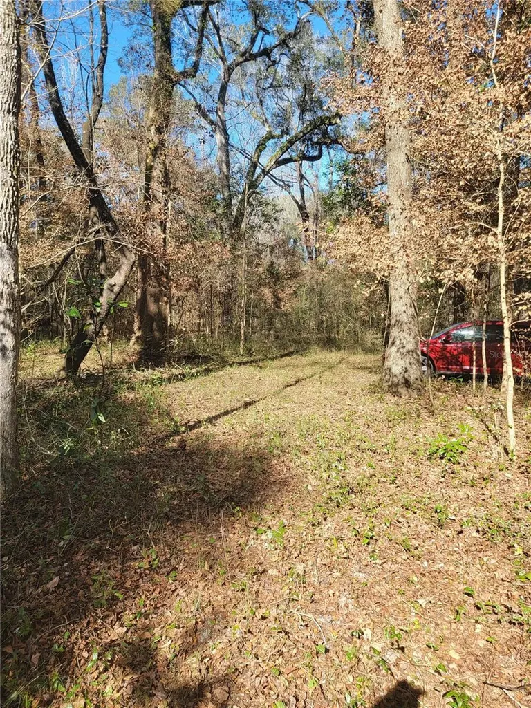 SW Newark Drive Fort White FL 32038