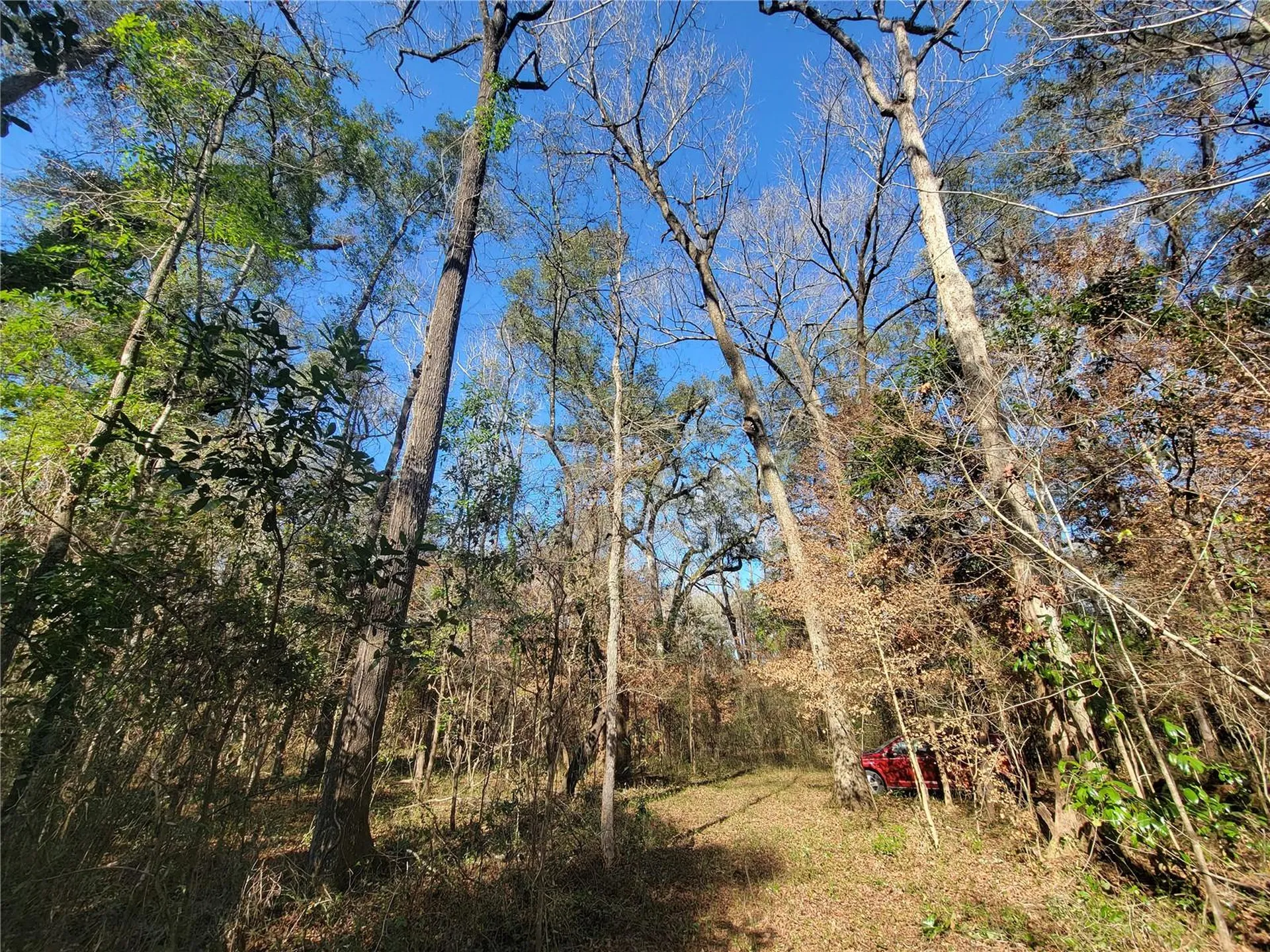 SW Newark Drive Fort White FL 32038