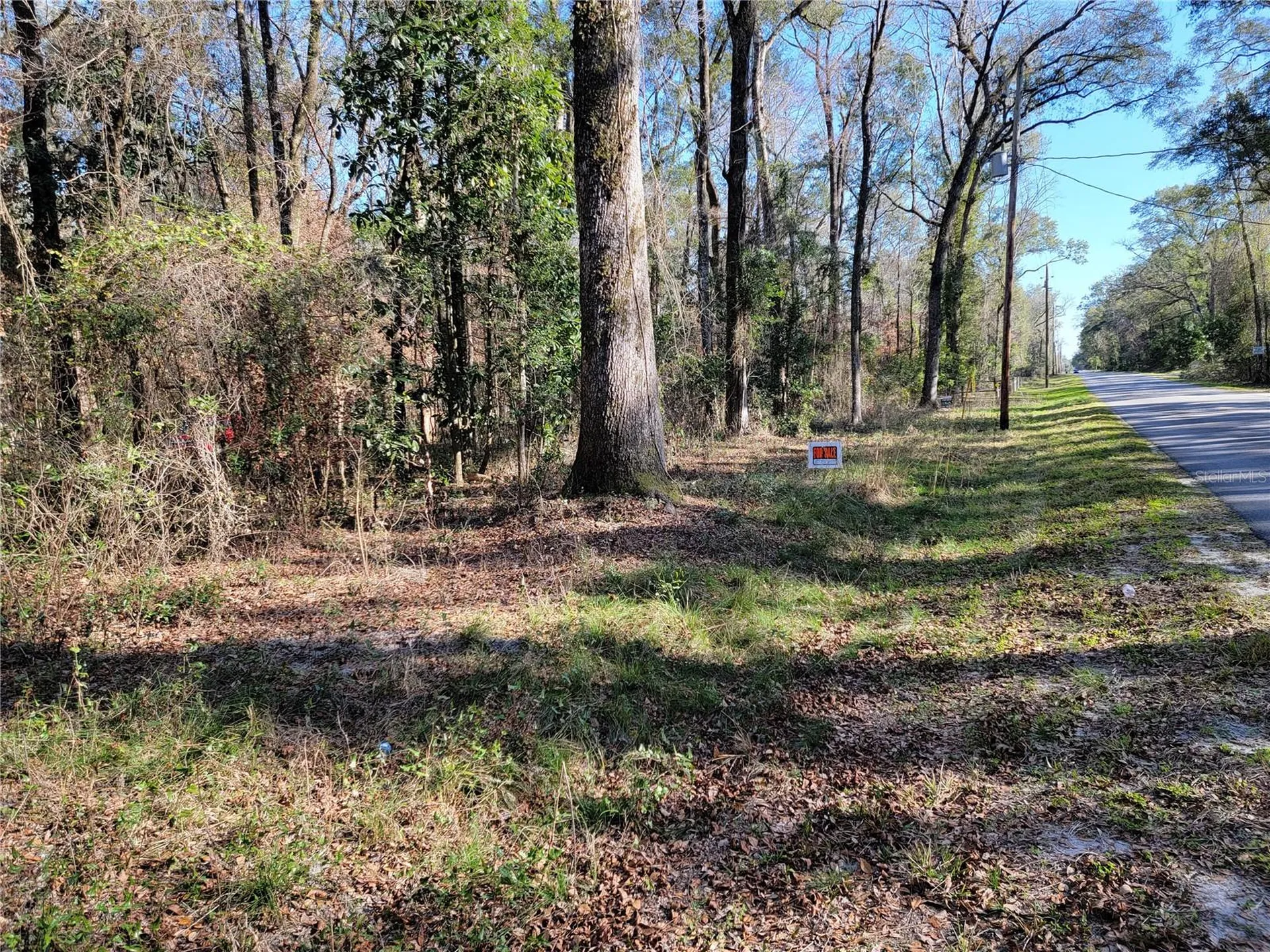 SW Newark Drive Fort White FL 32038