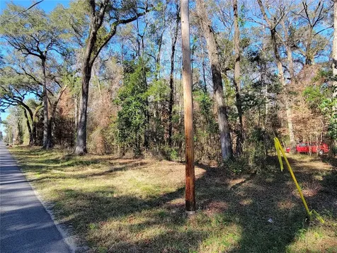 SW Newark Drive Fort White FL 32038