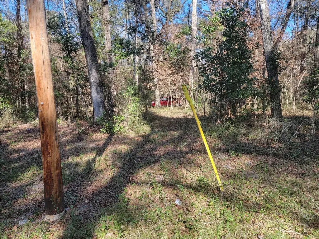 SW Newark Drive Fort White FL 32038