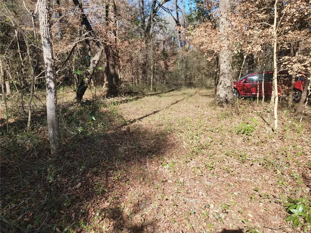 SW Newark Drive Fort White FL 32038