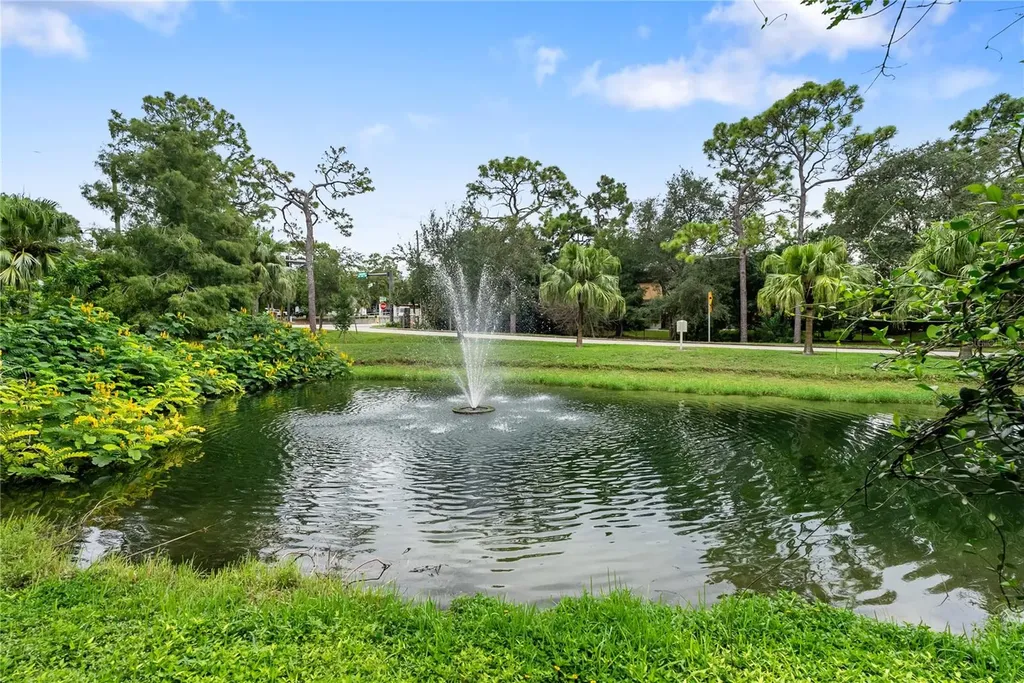 303 Old Mill Pond Road Palm Harbor FL 34683