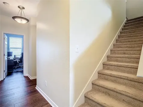 5575 Sweet William Terrace Land O Lakes FL 34639