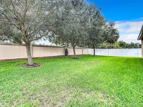 5575 Sweet William Terrace Land O Lakes FL 34639
