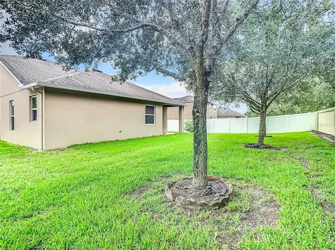 5575 Sweet William Terrace Land O Lakes FL 34639