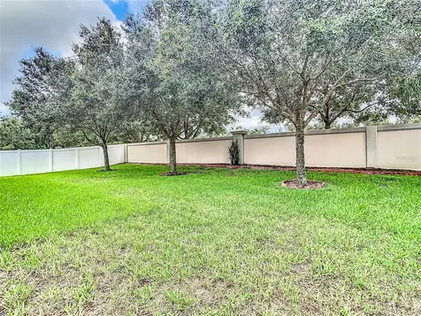 5575 Sweet William Terrace Land O Lakes FL 34639