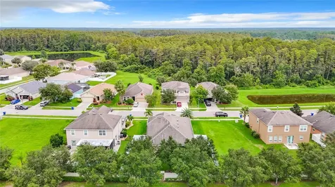 5575 Sweet William Terrace Land O Lakes FL 34639