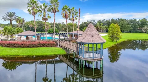 5575 Sweet William Terrace Land O Lakes FL 34639