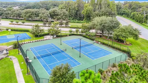 5575 Sweet William Terrace Land O Lakes FL 34639