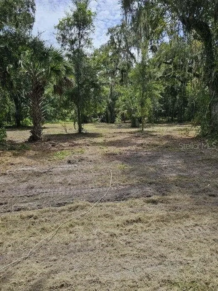 152 Tall Oak Trail Zolfo Springs FL 33890