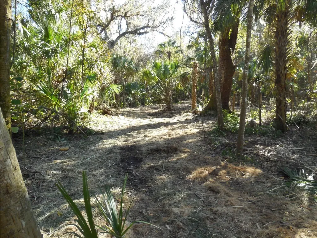 152 Tall Oak Trail Zolfo Springs FL 33890