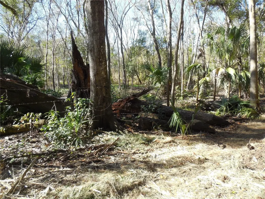 152 Tall Oak Trail Zolfo Springs FL 33890
