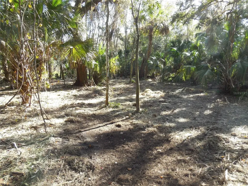 152 Tall Oak Trail Zolfo Springs FL 33890