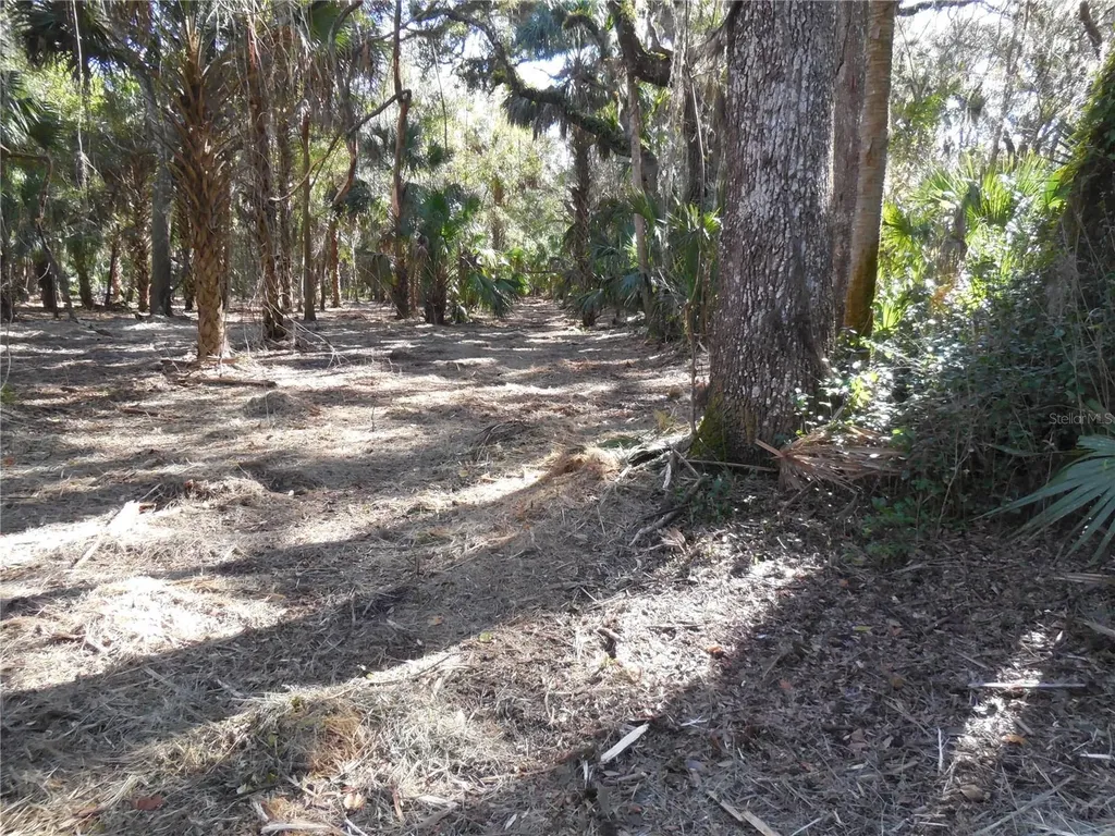 152 Tall Oak Trail Zolfo Springs FL 33890