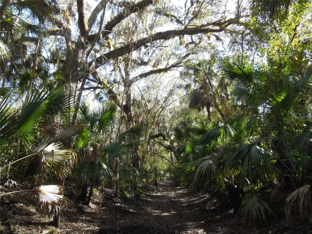 152 Tall Oak Trail Zolfo Springs FL 33890