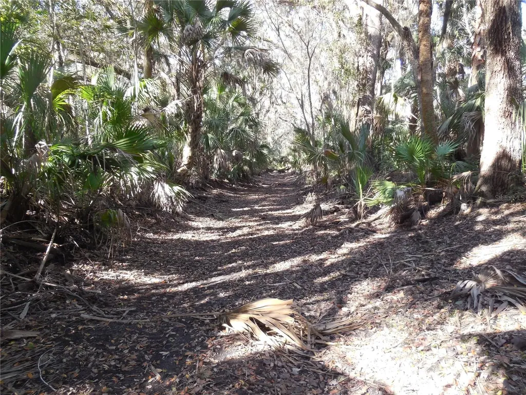 152 Tall Oak Trail Zolfo Springs FL 33890